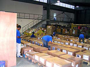 Gain de productivité